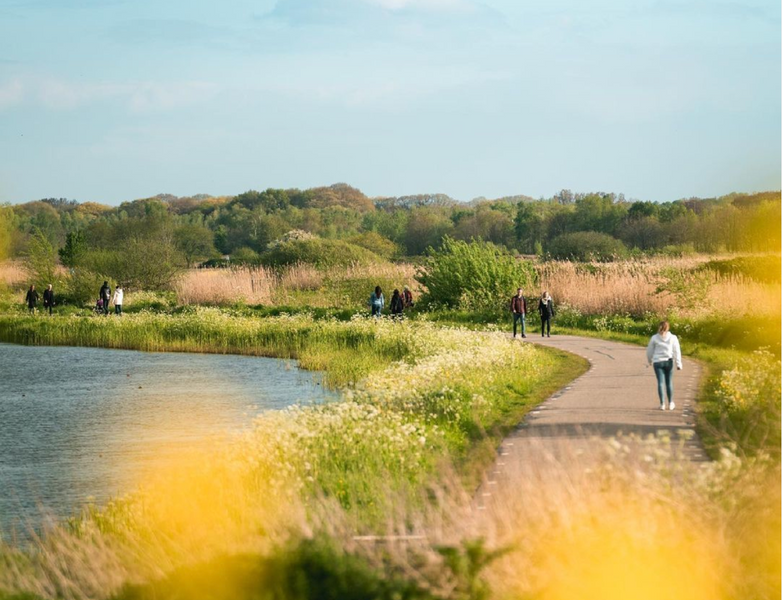 Wandelen en fietsen Den bosch